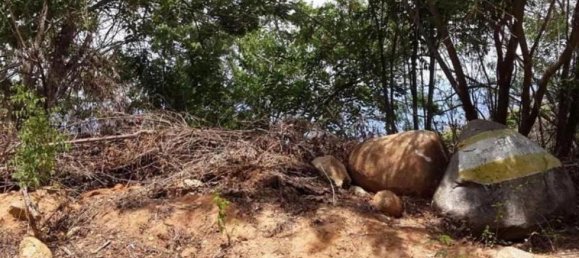  قطعة أرض في Acapulco de Juarez, Mexico رقم 121996 2