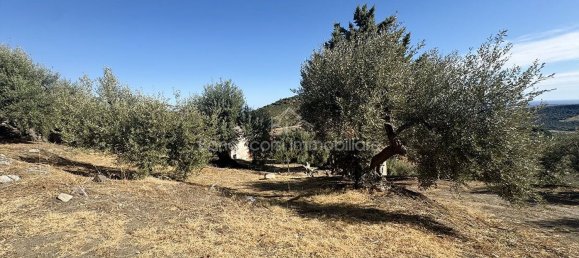  Land in Corigliano Rossano, Italy No. 342717 17