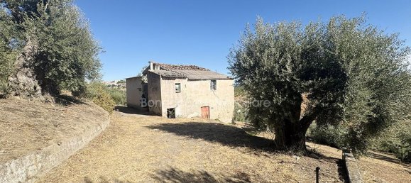 Land in Corigliano Rossano, Italy No. 342717 15