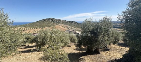  Land in Corigliano Rossano, Italy No. 342717 13