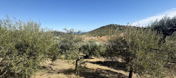  Land in Corigliano Rossano, Italy No. 342717 12