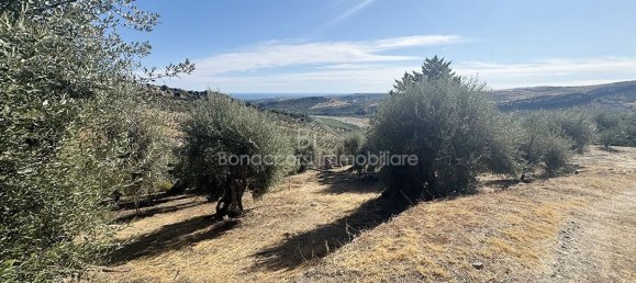  Land in Corigliano Rossano, Italy No. 342717 19