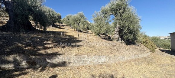  Land in Corigliano Rossano, Italy No. 342717 5