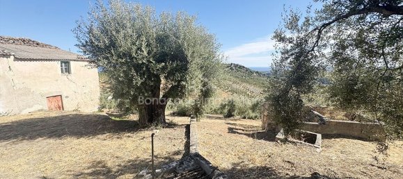  Land in Corigliano Rossano, Italy No. 342717 14