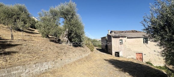  Land in Corigliano Rossano, Italy No. 342717 4