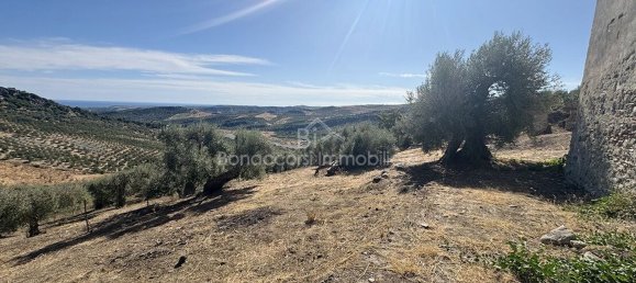  Land in Corigliano Rossano, Italy No. 342717 8