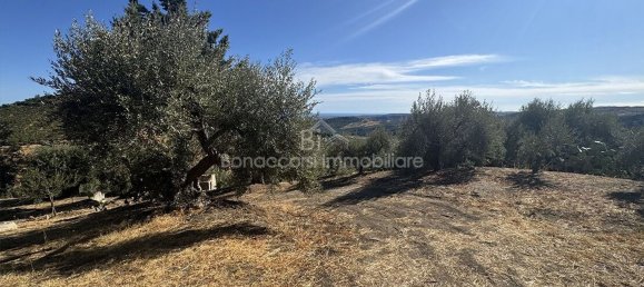  Land in Corigliano Rossano, Italy No. 342717 16