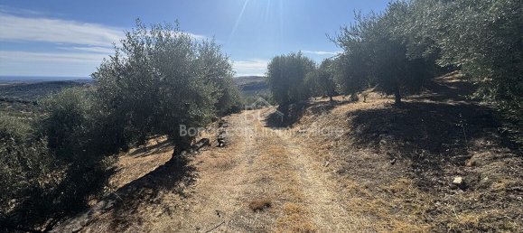  Land in Corigliano Rossano, Italy No. 342717 20