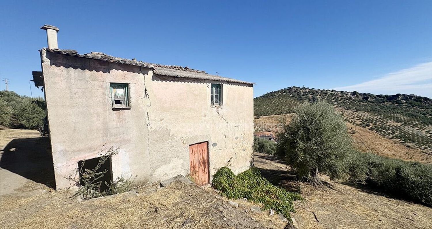  Land in Corigliano Rossano, Italy No. 342717