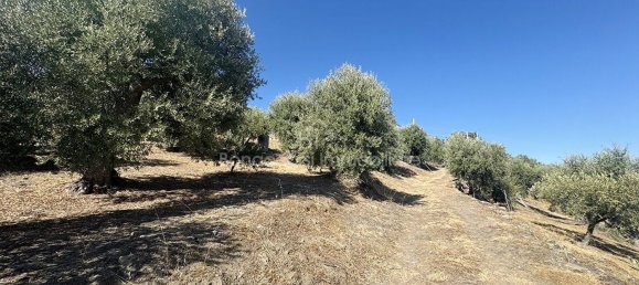  Land in Corigliano Rossano, Italy No. 342717 3
