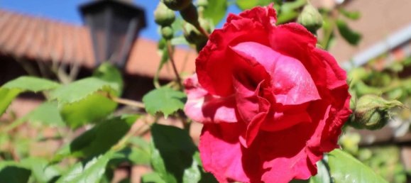 7 rooms House in Hanover, Germany No. 178938 24