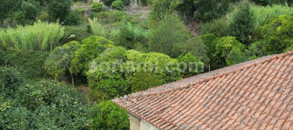 4 Schlafzimmer Haus in Marco de Canaveses, Portugal, Nr. 14916 49
