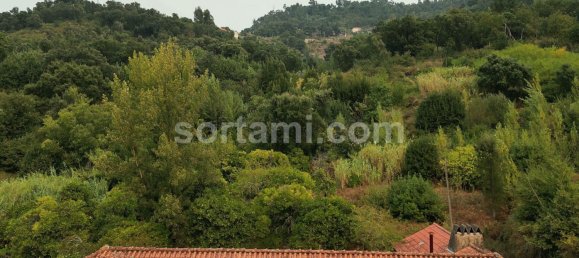 4 Schlafzimmer Haus in Marco de Canaveses, Portugal, Nr. 14916 50
