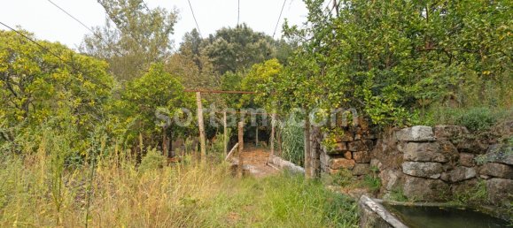 4 Schlafzimmer Haus in Marco de Canaveses, Portugal, Nr. 14916 35