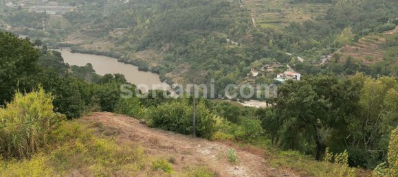 4 Schlafzimmer Haus in Marco de Canaveses, Portugal, Nr. 14916 47