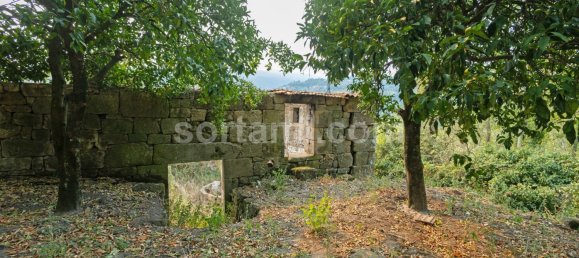 4 Schlafzimmer Haus in Marco de Canaveses, Portugal, Nr. 14916 32