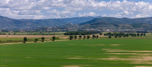 4 bedrooms Castles in Cortona, Italy No. 53548 23