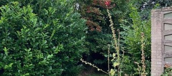 Дом с 3 спальнями в Шлезвиг-Гольштейн, Германия № 58205 23