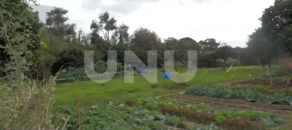 Земельный участок в Сейшал, Португалия № 68987 4