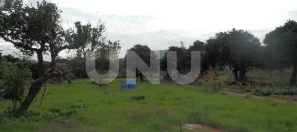 Земельный участок в Сейшал, Португалия № 68987 6