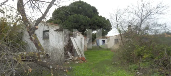 Земельный участок в Сейшал, Португалия № 68987 11