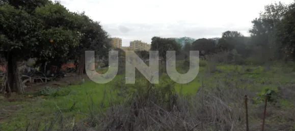 Земельный участок в Сейшал, Португалия № 68987 2