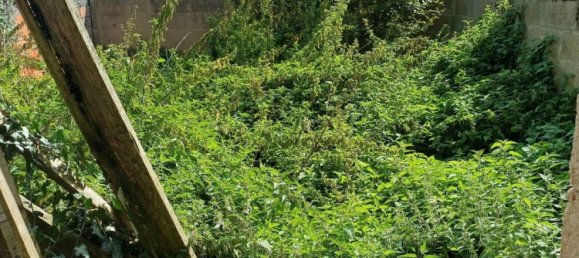 2 rooms House in Saint-Yzan-de-Soudiac, France No. 97634 6