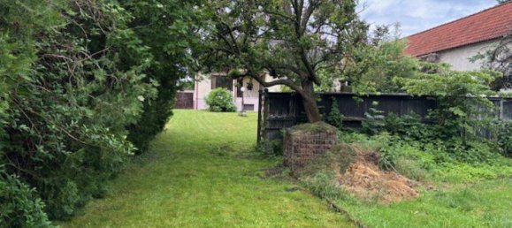 4 rooms House in Engelhartstetten, Austria No. 217700 19