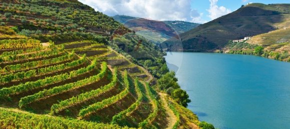 7 bedrooms House in Macedo de Cavaleiros, Portugal No. 180775 17