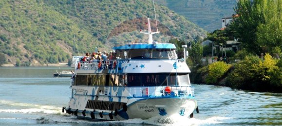 7 bedrooms House in Macedo de Cavaleiros, Portugal No. 180775 18