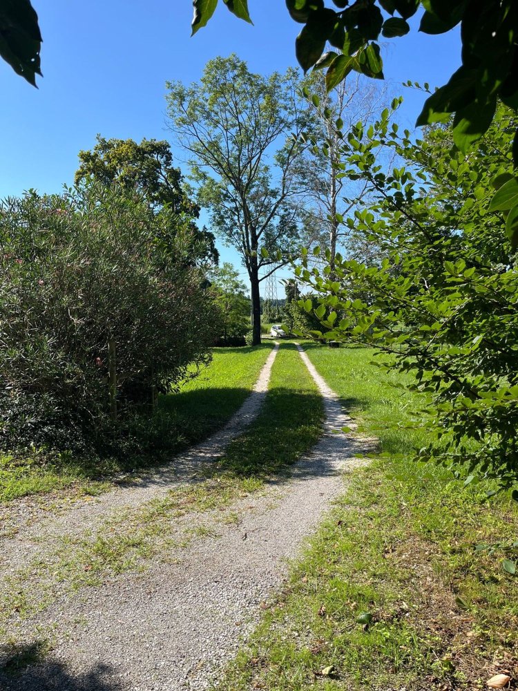 5 rooms Villa in Pordenone, Italy No. 277970