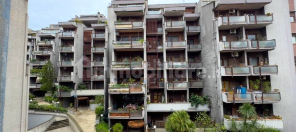 1 chambre Appartement à Rome, Italy No. 199775 40