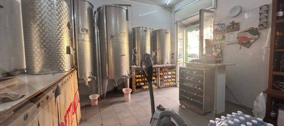 1-Zimmer Gewerbliche Immobilie in Pomigliano d'Arco, Italy, Nr. 25374 10