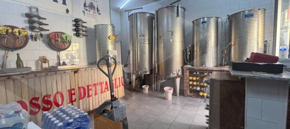 1-Zimmer Gewerbliche Immobilie in Pomigliano d'Arco, Italy, Nr. 25374 9