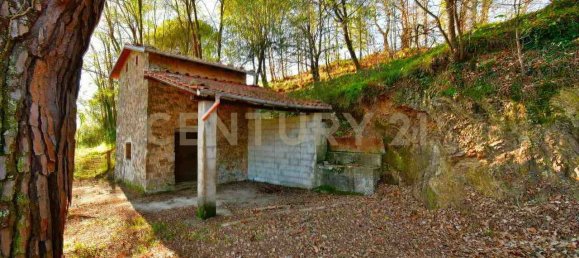 12 Schlafzimmer Haus in Coreglia Antelminelli, Italy, Nr. 316937 19