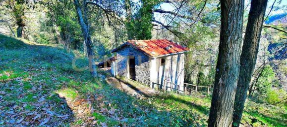12 Schlafzimmer Haus in Coreglia Antelminelli, Italy, Nr. 316937 21