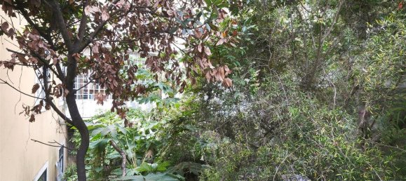 10 غرف نوم منزل في Lisbon, Portugal رقم 95667 9