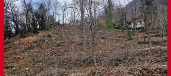 2890m² Land in Orino, Italy No. 228566 7