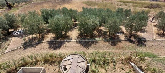 Propiedad de 3 dormitorios en Polygyros, Greece No. 2054 13