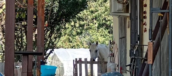 3 bedrooms House in Vigone, Italy No. 329621 13