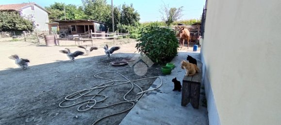 3 bedrooms House in Vigone, Italy No. 329621 29