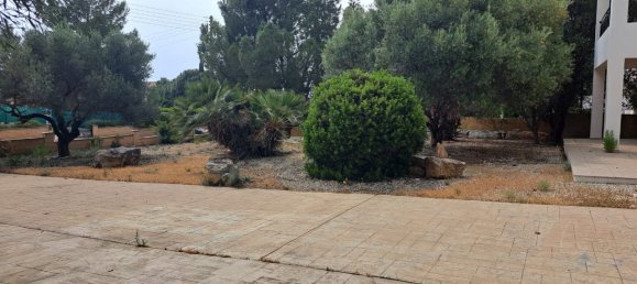 3 Schlafzimmer Haus in Kouklia, Cyprus, Nr. 9608 6