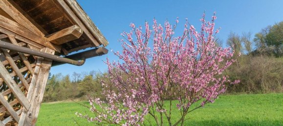 3 bedrooms Villa in Cesiomaggiore, Italy No. 283765 19