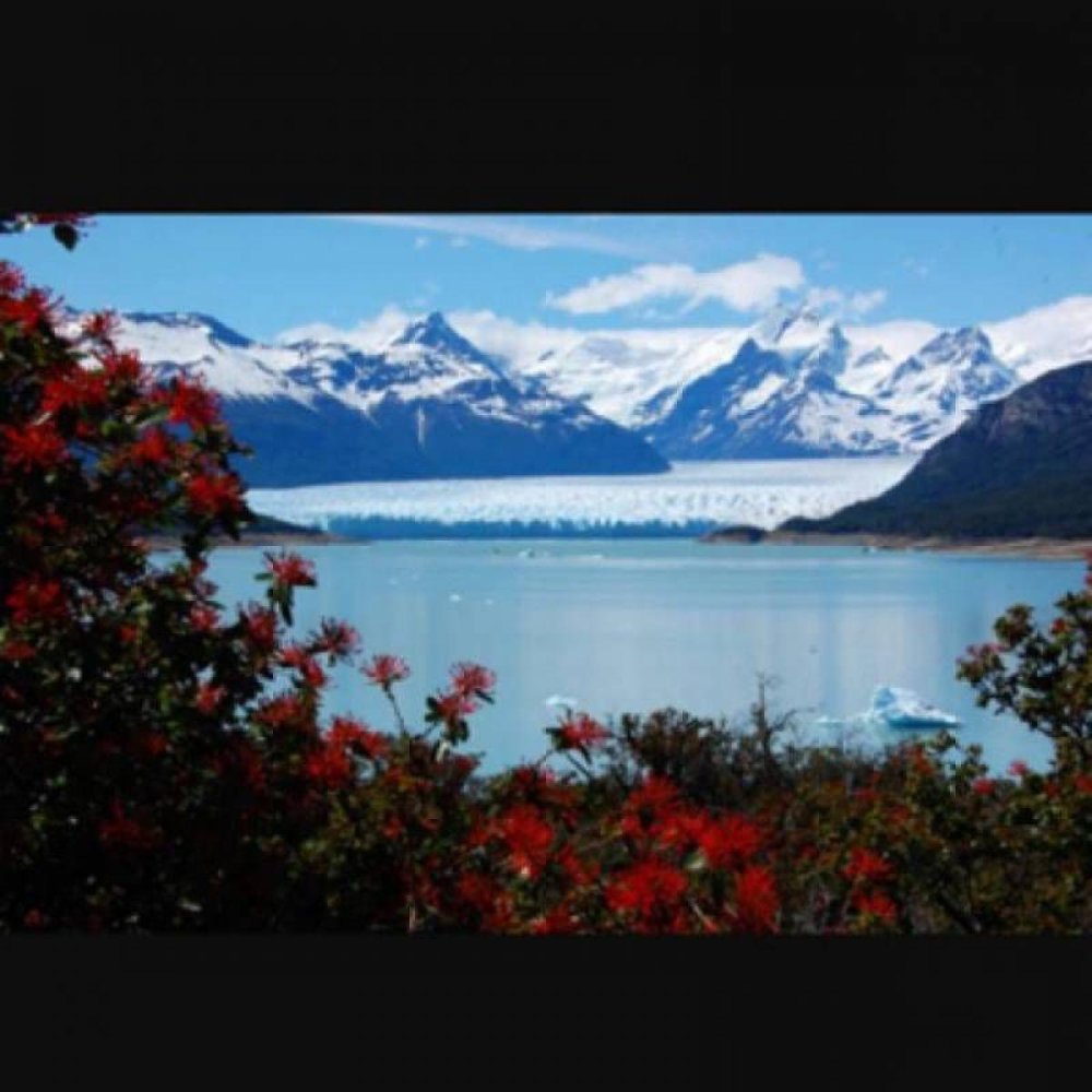 Terrain à Santa Cruz, Argentina No. 31502