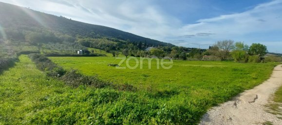 Grundstück in Mira de Aire, Portugal 500m², Nr. 86868 8