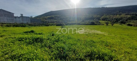 Grundstück in Mira de Aire, Portugal 500m², Nr. 86868 6