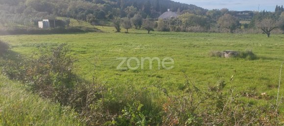 Grundstück in Mira de Aire, Portugal 500m², Nr. 86868 15