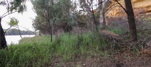 3 bedrooms Land in Murbko, Australia No. 1046 20