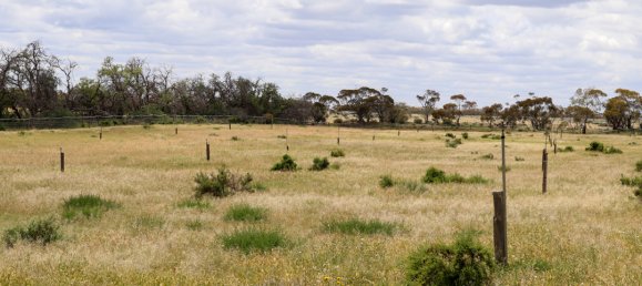 3 bedrooms Land in Murbko, Australia No. 1046 8