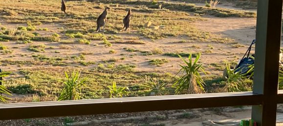 3 bedrooms Land in Murbko, Australia No. 1046 22